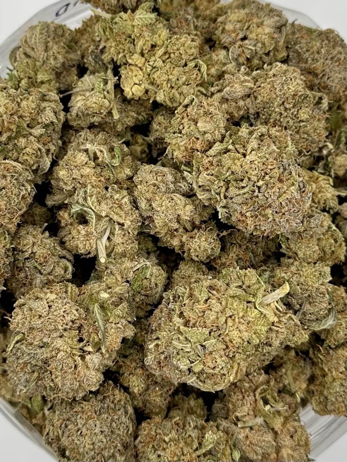 Granddaddy Purple Kush