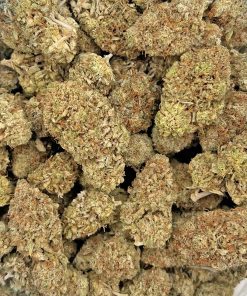 Super Silver Haze