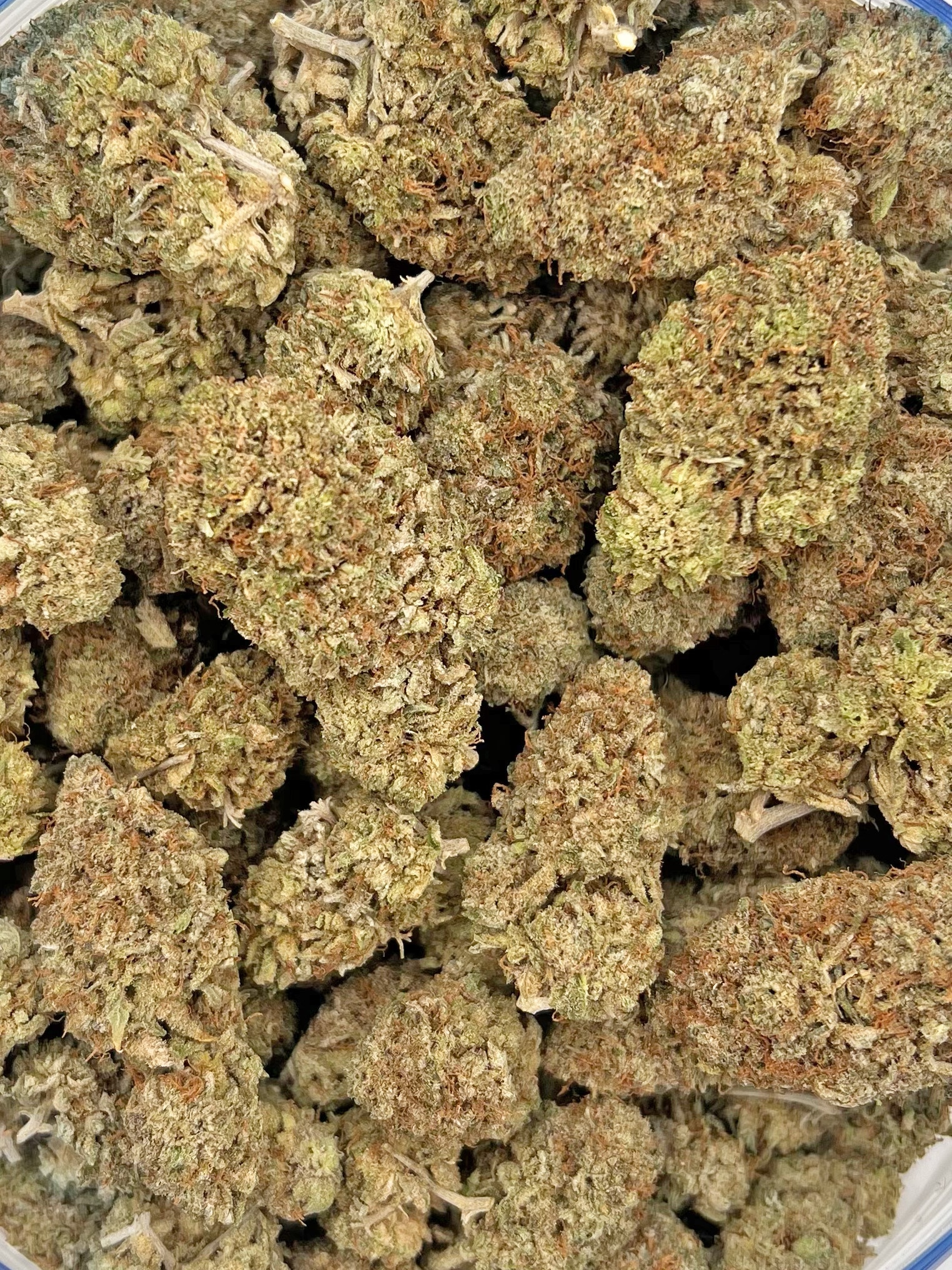 Super Silver Haze